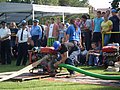 P7180126.JPG