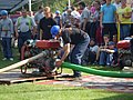 P7180132.JPG